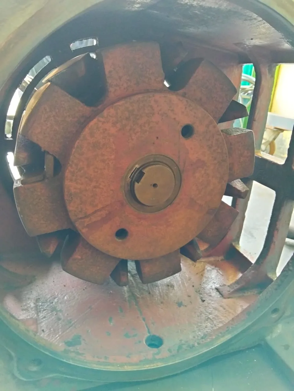 BASST OCP 160N 16 (10)