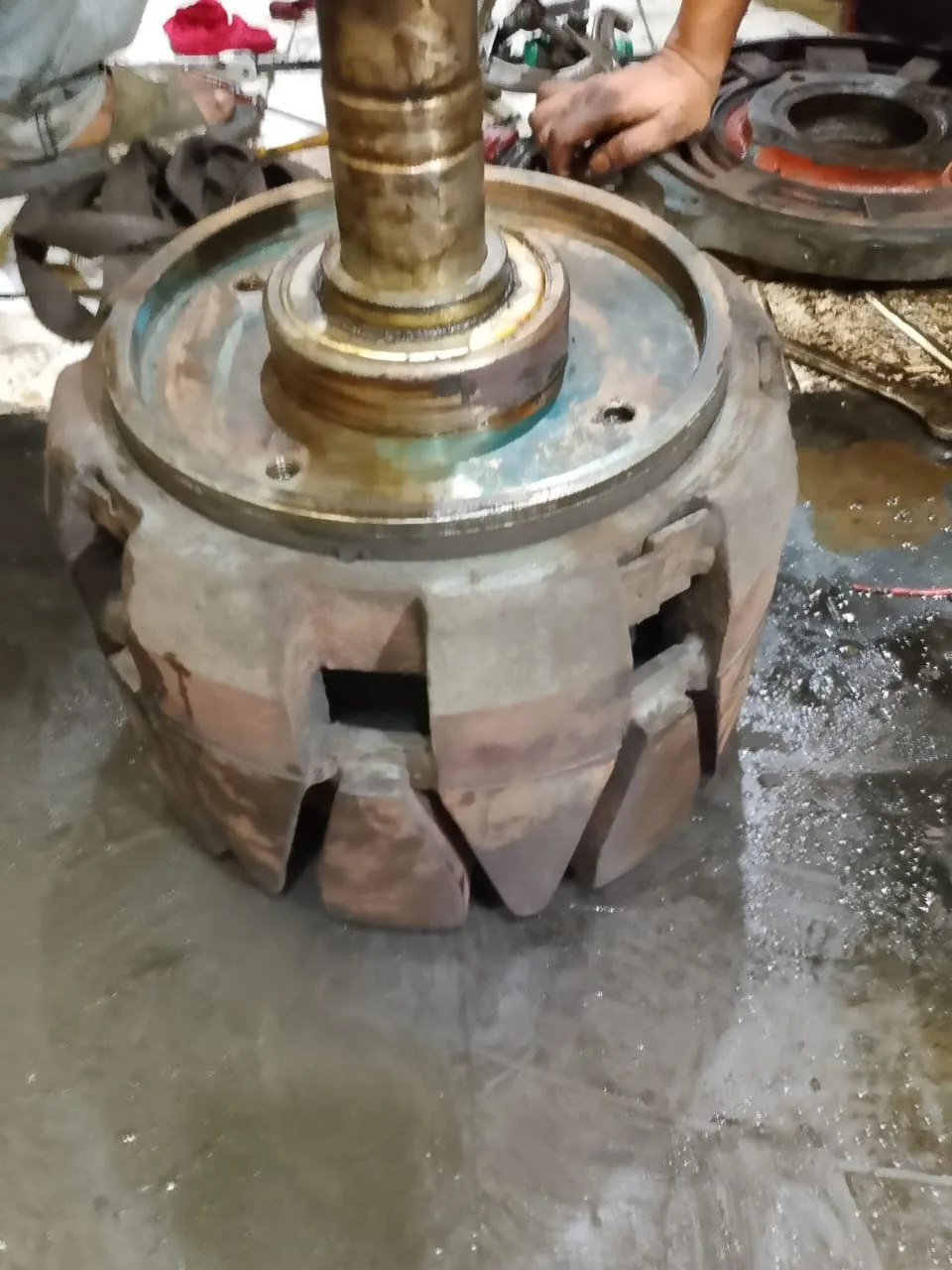 BASST OCP 160N 16 (18)