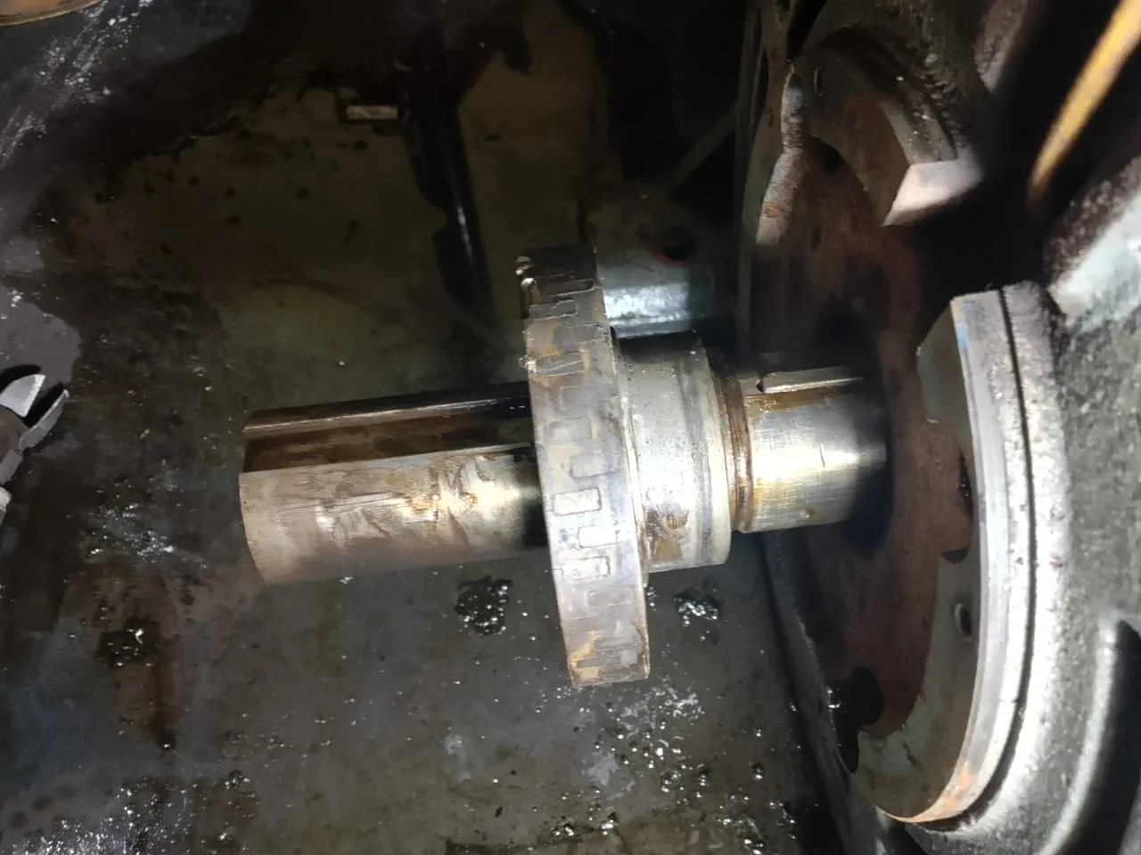 BASST OCP 160N 16 (23)